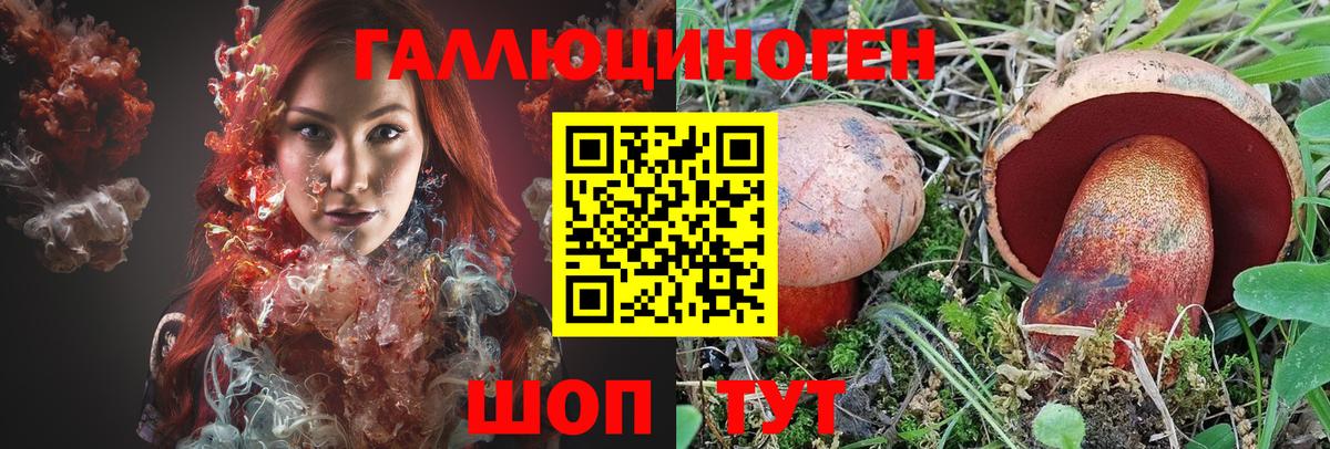 Галлюциногенные грибы GOLDEN TEACHER Унеча