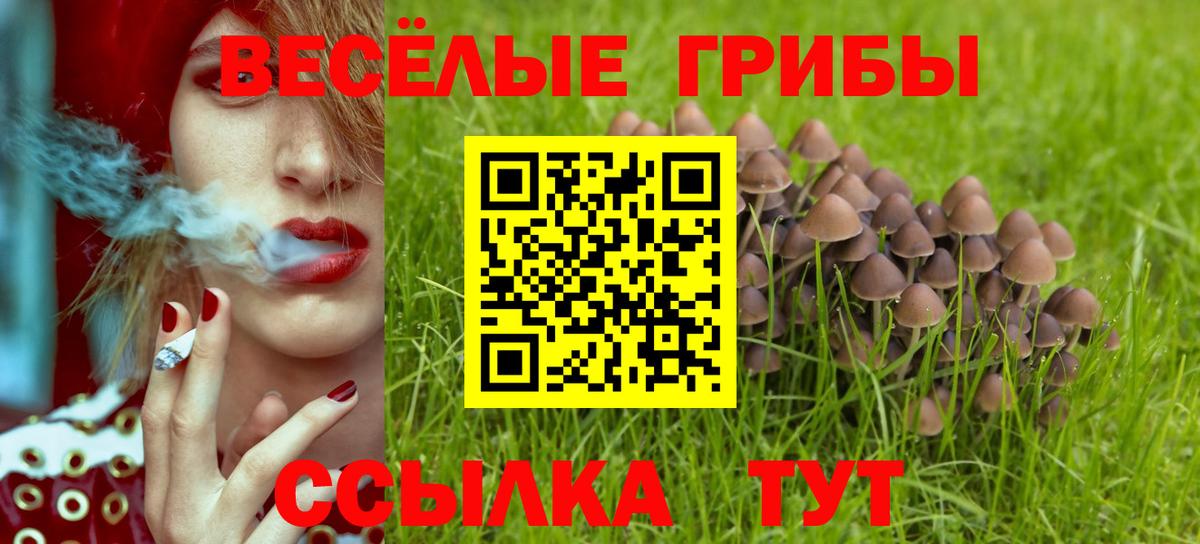 Галлюциногенные грибы Magic Shrooms  Вход с VPN  Унеча 